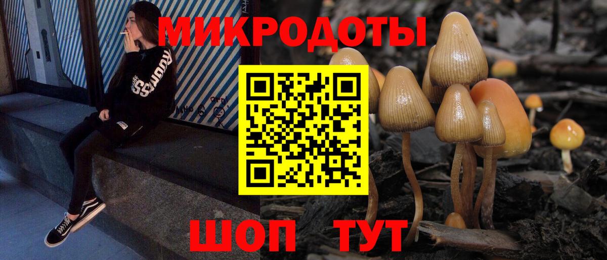 Галлюциногенные грибы Psilocybine cubensis Самара