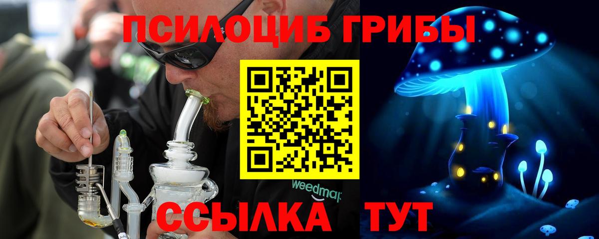 Самара  Галлюциногенные грибы Psilocybe  как найти закладки  Вход с VPN 